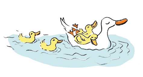 Ente